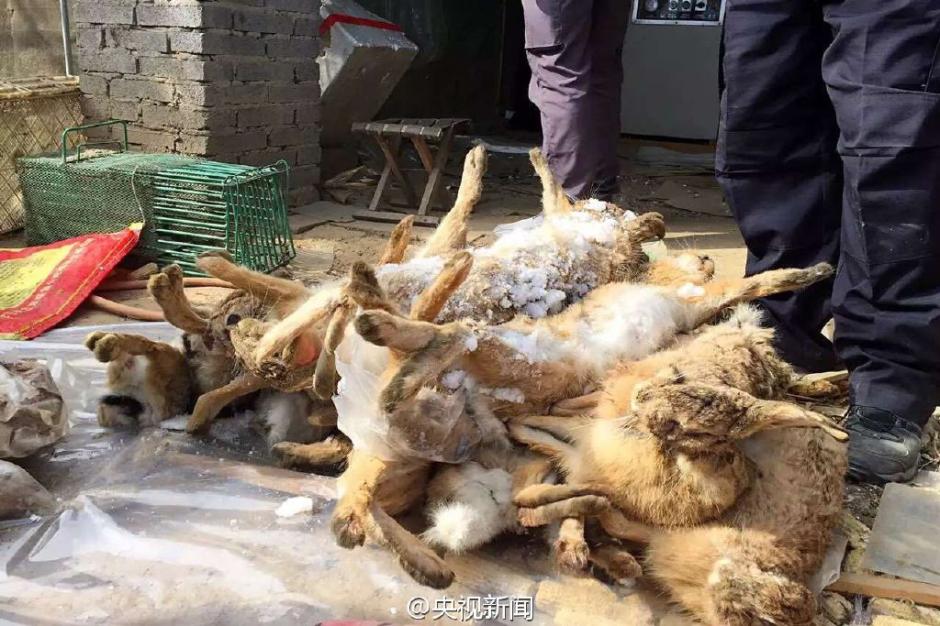 KYKY开元-
“自来水可点燃”的原因找到了(图2) KYKY开元