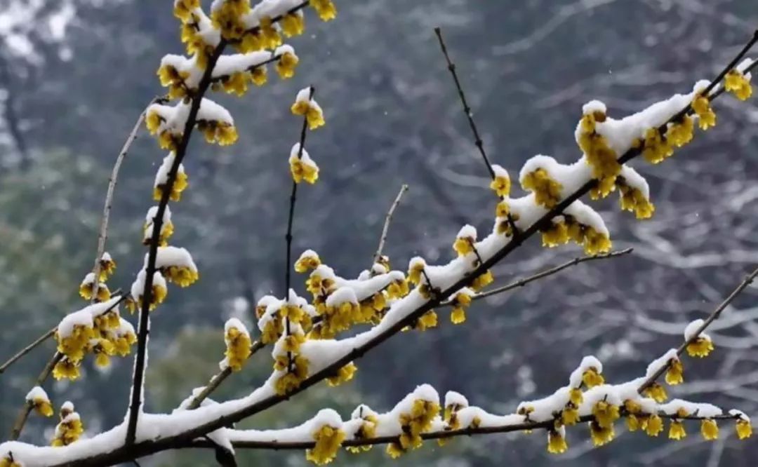 KY开元集团官网