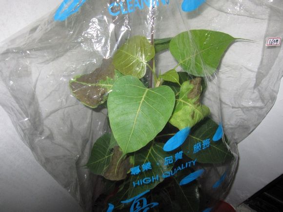 KYKY开元|山西惠民医院:看肛肠病需要注意些什么?(图3) KY开元集团官网