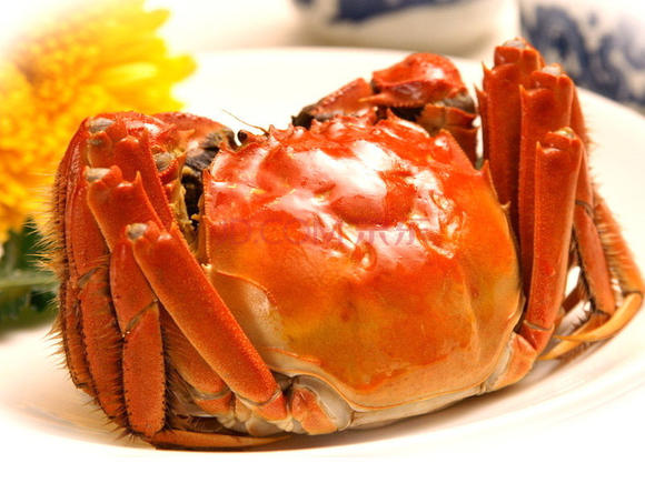 开元集团网站官网