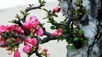 开元集团网站官网