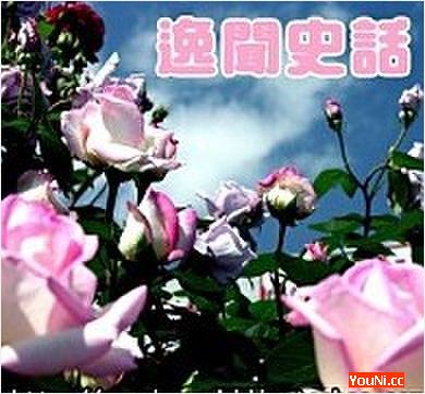 开元集团网站官网