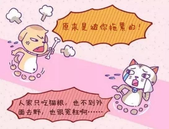 开元集团网站官网