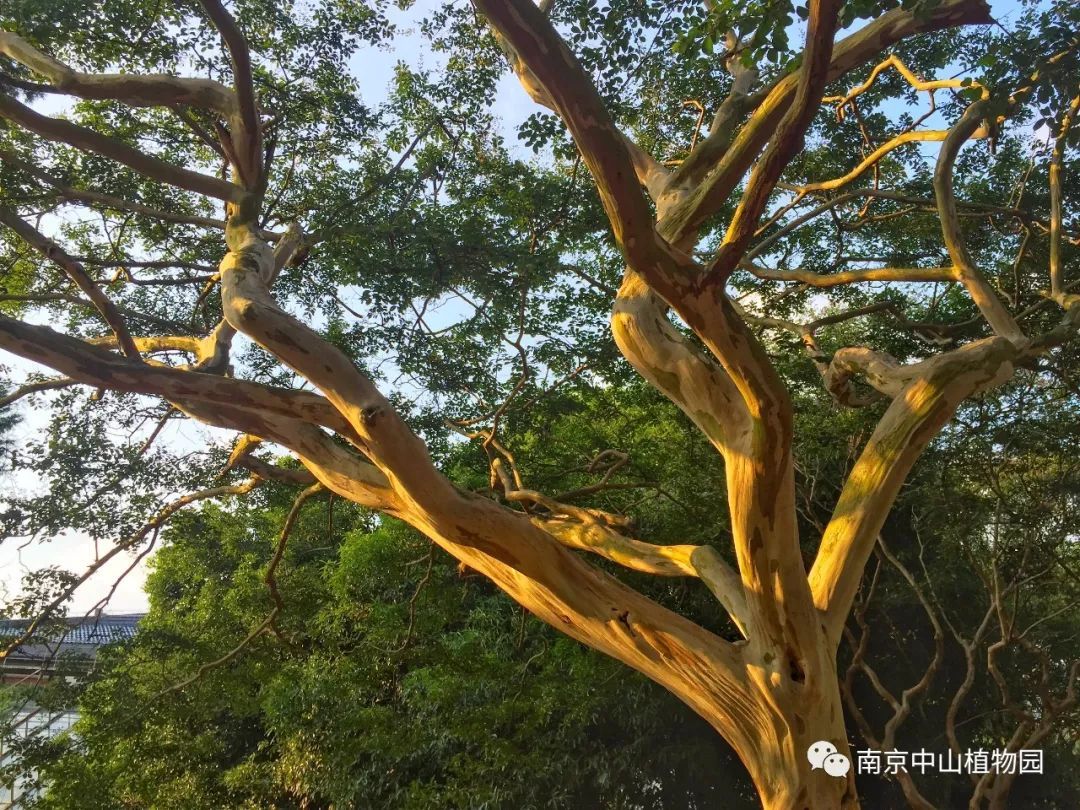 KY开元集团官网