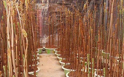 开元集团网站官网