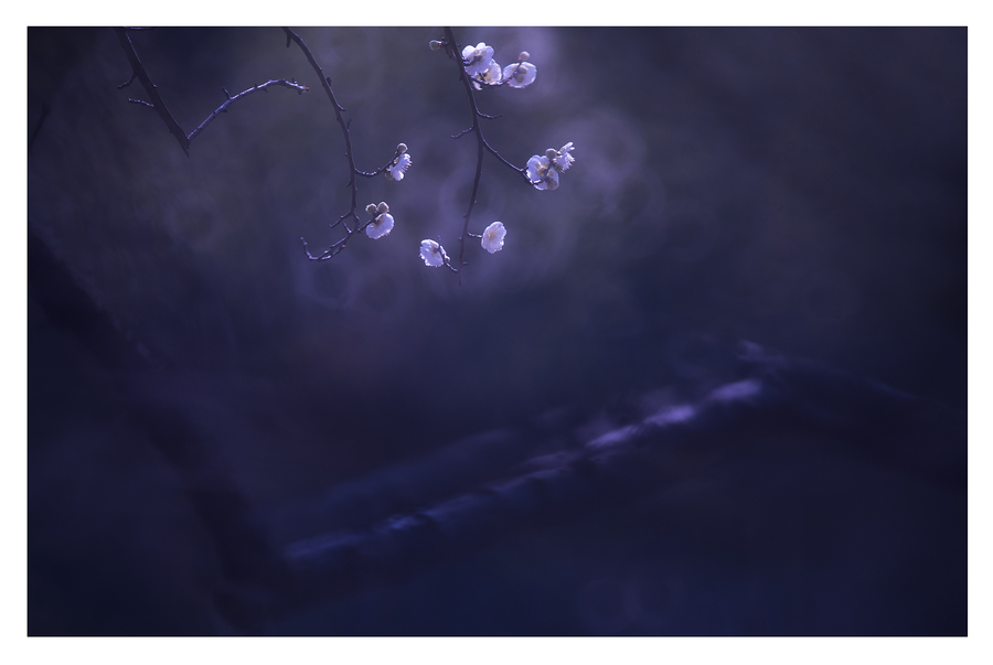 ‘KY开元集团官网’伯俊软件荣获「亿邦未来零售新服务TOP30」(图1) 开元集团网站官网