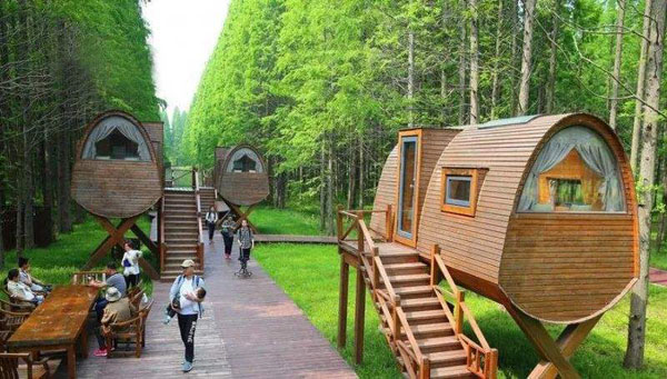 濮阳第一河务局开展征集节约“金点子”活动【KYKY开元】(图2) 开元集团网站官网