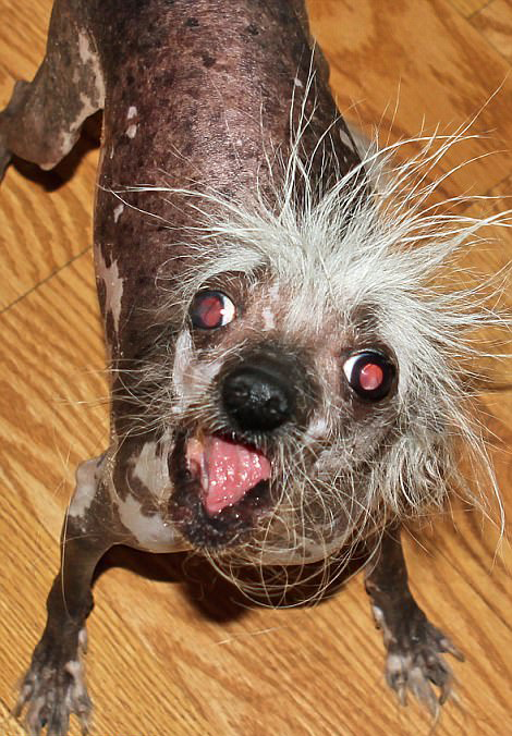 开元集团网站官网