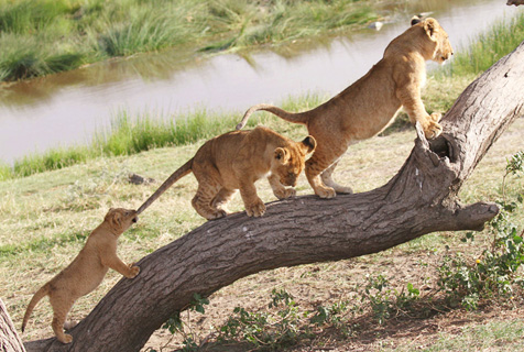 KY开元集团官网